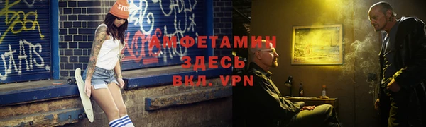 индика Алзамай