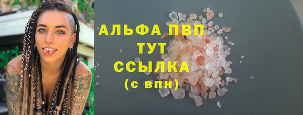 прущие грибы Алексин