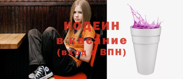 индика Алзамай