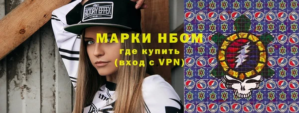 индика Алзамай