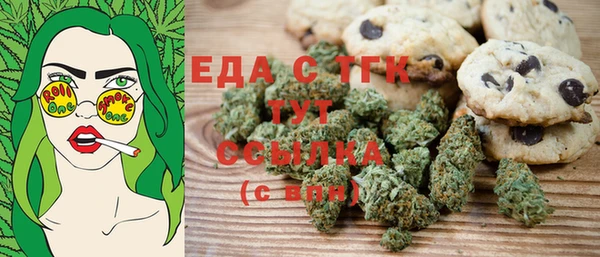 индика Алзамай